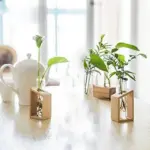 Clara Hydroponic Crystal Glass Planter Set tag1