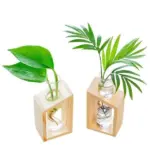 Clara Hydroponic Crystal Glass Planter Set tag1
