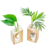 Clara Hydroponic Crystal Glass Planter Set tag1