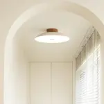 Classic Iron Ceiling Lamp for the Hallway tag1