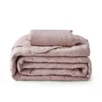 CloudNine_Quilted_Bed_Set_-_-_tag1_-4178800 CloudNine Quilted Bed Set tag1