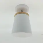 ColorGlow_-_Pastel_Ceiling_Lamps_-_-_tag1_-4185252 ColorGlow Pastel Ceiling Lamps tag1