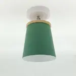 ColorGlow_-_Pastel_Ceiling_Lamps_-_-_tag1_-4185270 ColorGlow Pastel Ceiling Lamps tag1