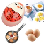 Color_Changing_Egg_Timers_-_-_tag1_-4184278 Color Changing Egg Timers tag1