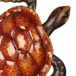 Colorful Sea Turtle Home Wall Decor Add a Coastal Touch to Your Home
