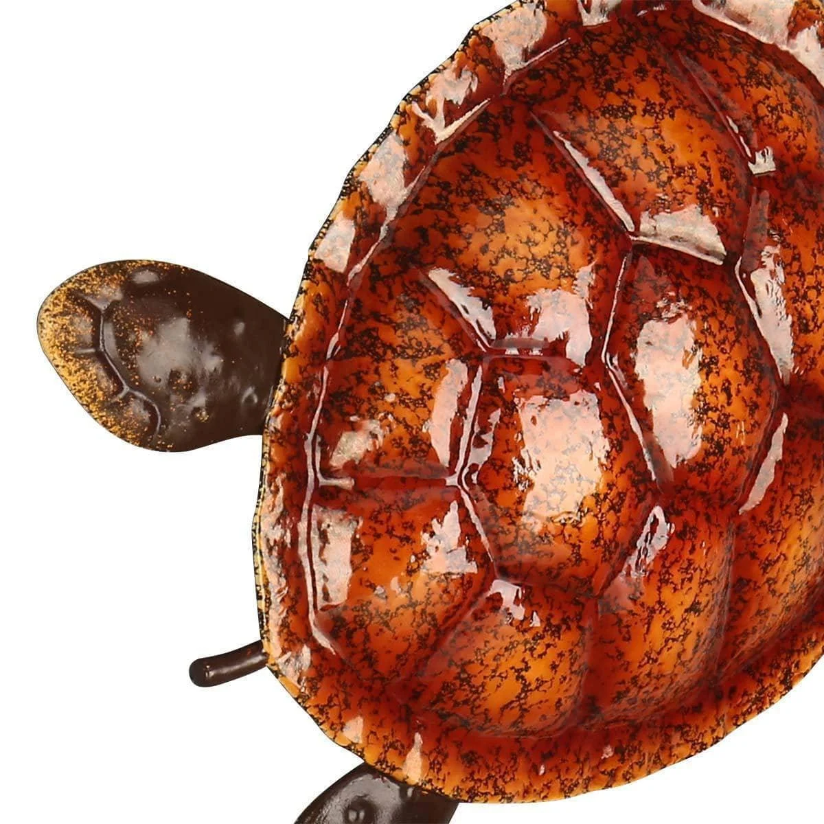 Colorful Sea Turtle Home Wall Decor - Add a Coastal Touch to Your Home -
