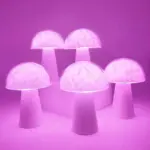 Colour Changing LED Mushroom Lamp tag1
