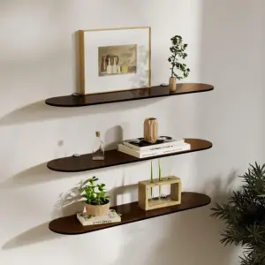 Coloured Acrylic Wall Mounted Storage Shelves