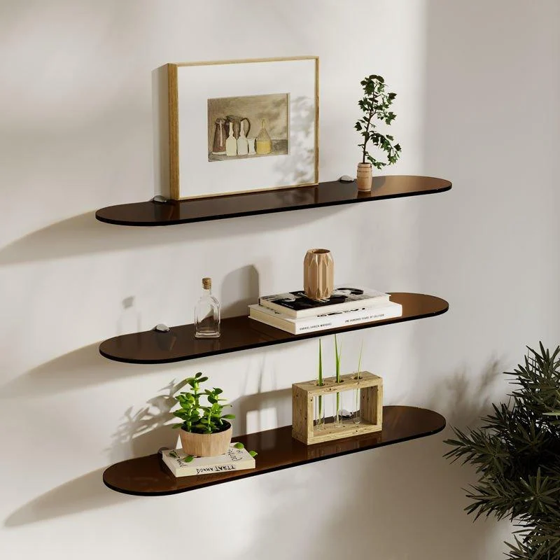 Coloured Acrylic Wall Mounted Storage Shelves -  - #tag1#