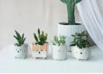 Corgi-Sheep_Pot_-_-4165180 Corgi Sheep Pot
