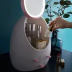 Cosmetics Storage Mirror tag1