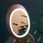 Cosmetics Storage Mirror tag1