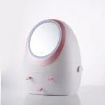 Cosmetics Storage Mirror tag1