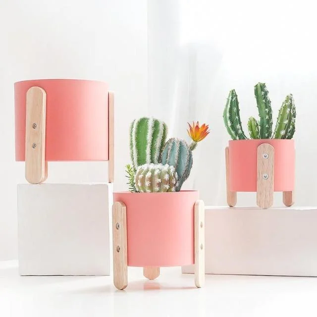 Cotia - Innovative Flower Pot Planter -  - #tag1#