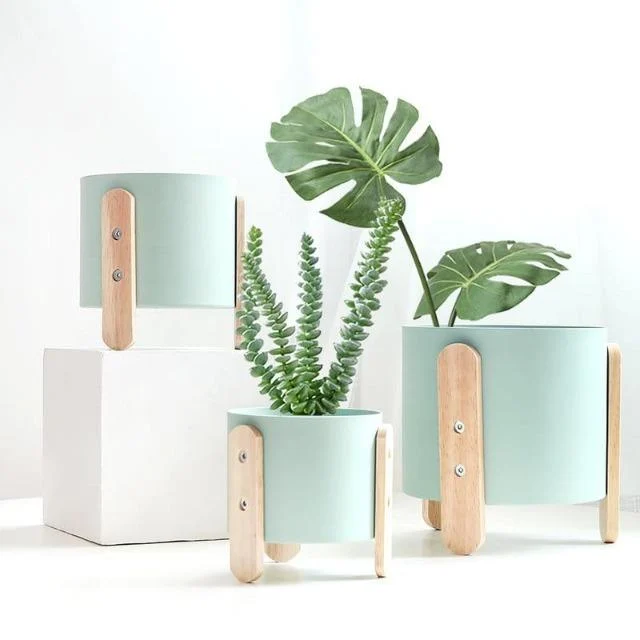 Cotia - Innovative Flower Pot Planter -  - #tag1#