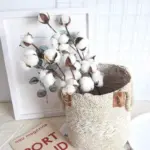 Cotton_Branch_-_-_tag1_-4190340 Cotton Branch tag1