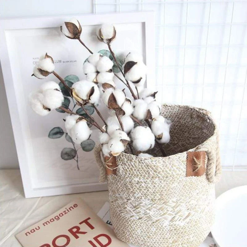 Cotton Branch -  - #tag1#