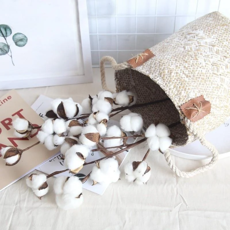 Cotton Branch -  - #tag1#