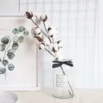 Cotton_Branch_-_-_tag1_-4190350 Cotton Branch tag1