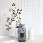 Cotton_Branch_-_-_tag1_-4190358 Cotton Branch tag1