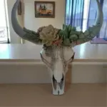 Cow_Skull_-_Bully_-_Wall_Decoration_with_Flowers_-_Resin_Home_Decoration_-_-_tag1_-4190686 Cow Skull Bully Wall Decoration with Flowers Resin Home Decoration tag1