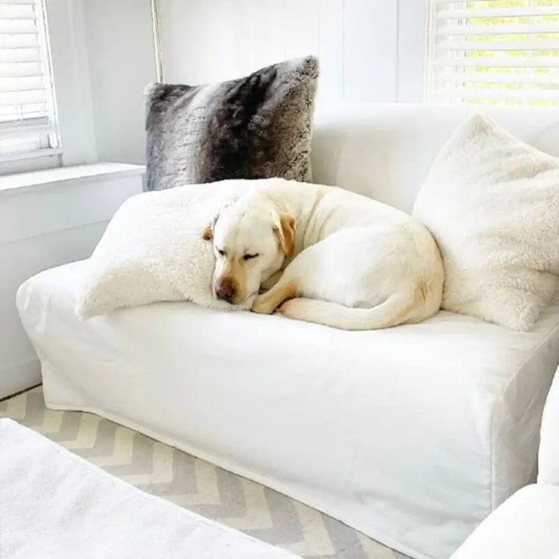 Cozy Teddy Faux Fur Cushion Cover Plush Pillow Cover For Sofa Living Room 45 45 Decorative 6dfba5a0 084c 47ca b0be d6c116c14bc0