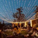 Cozy Lights Lights String LED Outdoor Lighting tag1