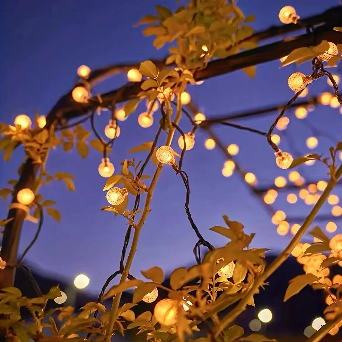 Cozy Lights - Lights String LED Outdoor Lighting -  - #tag1#