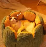 Cozypets_-_Cactus_Pet_Bed_-_Ultimate_Sleeping_Comfort_-_-_tag1_-4190829 Cozypets Cactus Pet Bed Ultimate Sleeping Comfort tag1