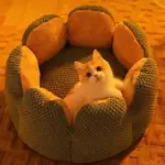 Cozypets_-_Cactus_Pet_Bed_-_Ultimate_Sleeping_Comfort_-_-_tag1_-4190835 Cozypets Cactus Pet Bed Ultimate Sleeping Comfort tag1