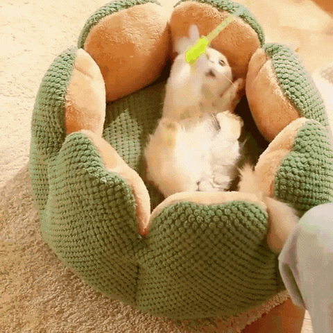 Cozypets - Cactus Pet Bed - Ultimate Sleeping Comfort -  - #tag1#