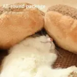 Cozypets_-_Cactus_Pet_Bed_-_Ultimate_Sleeping_Comfort_-_-_tag1_-4190871 Cozypets Cactus Pet Bed Ultimate Sleeping Comfort tag1