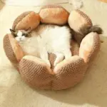 Cozypets_-_Cactus_Pet_Bed_-_Ultimate_Sleeping_Comfort_-_-_tag1_-4190879 Cozypets Cactus Pet Bed Ultimate Sleeping Comfort tag1