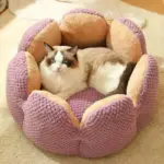 Cozypets_-_Cactus_Pet_Bed_-_Ultimate_Sleeping_Comfort_-_-_tag1_-4190885 Cozypets Cactus Pet Bed Ultimate Sleeping Comfort tag1