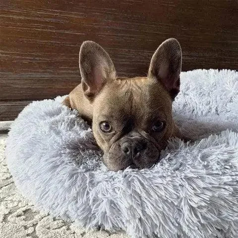 Cozypets - Soft, soothing pet bed -  - #tag1#