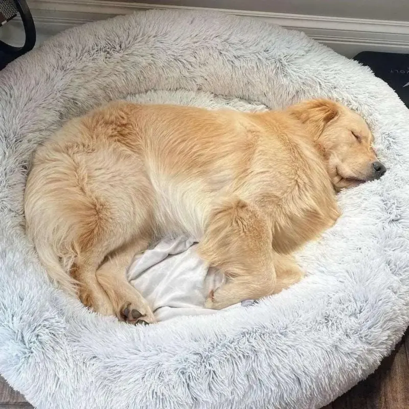 Cozypets Soft soothing pet bed tag1