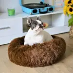 Cozypets_-_Soft_soothing_pet_bed_-_-_tag1_-4190957 Cozypets Soft soothing pet bed tag1