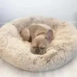 Cozypets_-_Soft_soothing_pet_bed_-_-_tag1_-4190962 Cozypets Soft soothing pet bed tag1