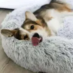 Cozypets_-_Soft_soothing_pet_bed_-_-_tag1_-4190972 Cozypets Soft soothing pet bed tag1