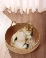 Cozypets_-_Super_Soft_and_Cozy_Cat_Bed_-_-_tag1_-4191006 Cozypets Super Soft and Cozy Cat Bed tag1
