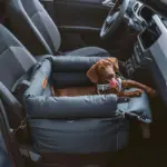 Cozypets_-_TravelPaws_Bed_-_Luxurious_Faux_Leather_Dog_Car_Bed_-_-_tag1_-4191055 Cozypets TravelPaws Bed Luxurious Faux Leather Dog Car Bed tag1