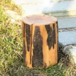 Crack_Log_Lawn_Light_-_-4167305 Crack Log Lawn Light