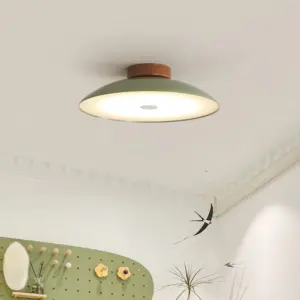Homeko Retro Iron Aisle Ceiling Lamp