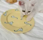 Creamy Pasta Ceramic Duck Bowl Plate Set