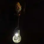 Creative Dwarf Solar Night Light Charming Outdoor Garden Ornament