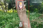 Creative Dwarf Solar Night Light Charming Outdoor Garden Ornament