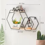 Creative_Geometry_Wall_Shelf_-_-_tag1_-4192352 Creative Geometry Wall Shelf tag1
