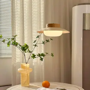 Creative Glutinous Rice Bowl Hanging Lamp