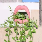 Creative Lips Flower Pot tag1