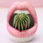 Creative Lips Flower Pot tag1